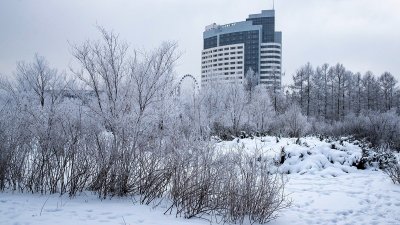 Астану заметет снегом: прогноз погоды с 10 по 14 ноября