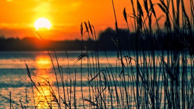 Пыльные бури и жара до +44°C: какая погода ждет казахстанцев 29 июля