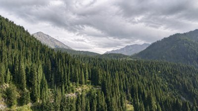В Алматы ночью похолодает до +11 градусов