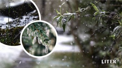 В Алматы прогнозируют дождь и снег: погода на рабочей неделе