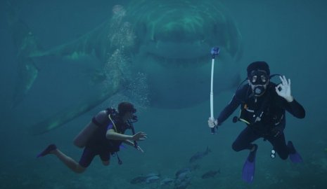 Акула напала на туристку во время снорклинга на Мальдивах