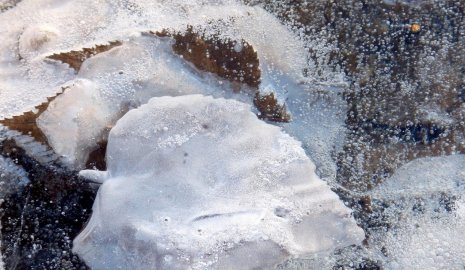 Степь покрылась льдом в Мангистауской области (ВИДЕО)