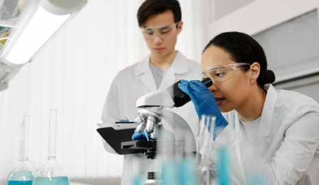 Болезнь Альцгеймера удалось победить на опытах – исследование