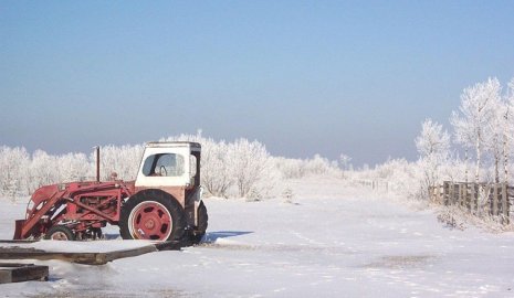 Трактор насмерть сбил рабочего на ферме в Акмолинской области