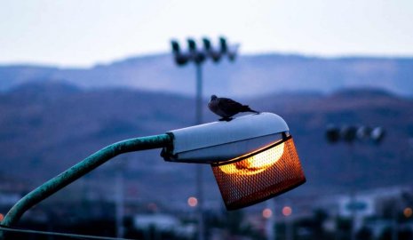 Ограничения электроснабжения ввели в Атырауской области