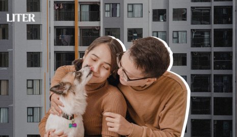 Домашние животные в многоэтажках: что важно знать хозяевам