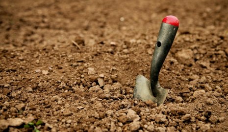 Археологи обнаружили следы резни 2800-летней давности