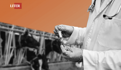 Мужчина заболел сибирской язвой в Шымкенте