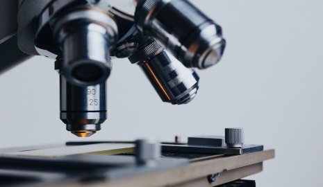 Пересадка кала может омолодить яичники