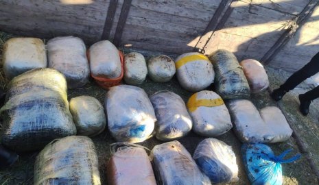 Более 200 кг наркотиков нашли в тайнике при проверке грузовика в Костанайской области