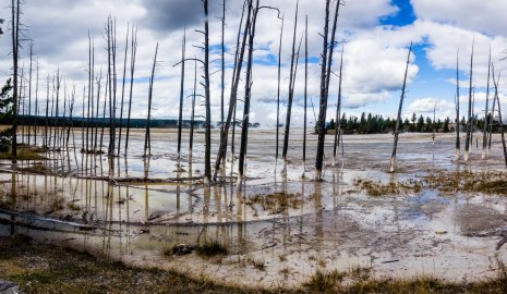 Горячий источник в Мангистау превратился в свалку