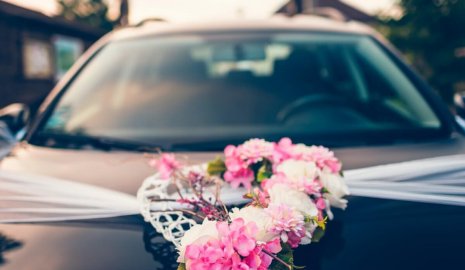 Свадебный кортеж отправили на штрафстоянку в Жамбылской области (ВИДЕО)