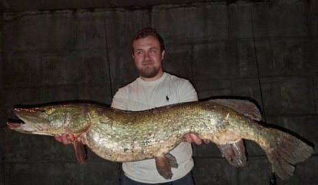 9-килограммовую щуку выловили в Москве-реке