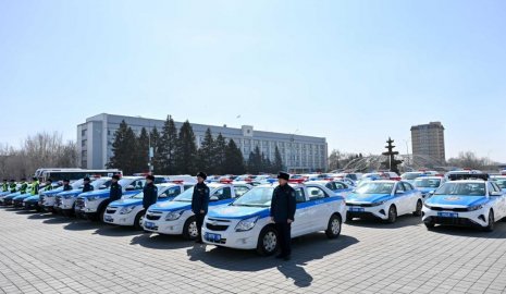 Автомобильный полицейский