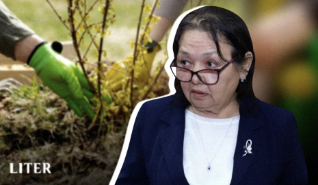 Цифровой учет вместо "слепого" озеленения: как в Мангистау пытаются спасти города от засушливого климата