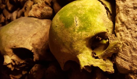 Человеческие останки нашли на стройке в ВКО