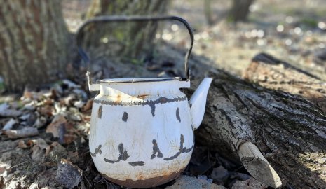 Мужчину до смерти избили и облили кипятком из-за 170 тысяч тенге