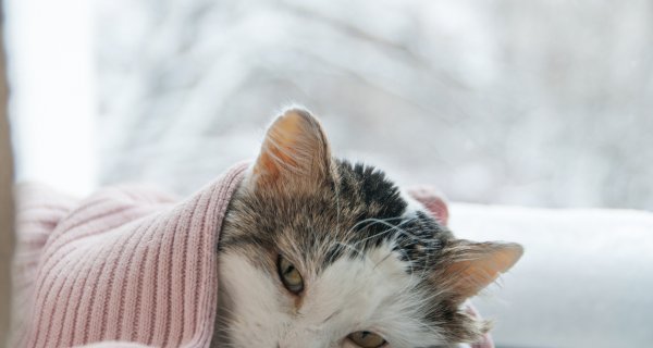 Снег, гололед и метель: что ожидать в Казахстане 8 декабря