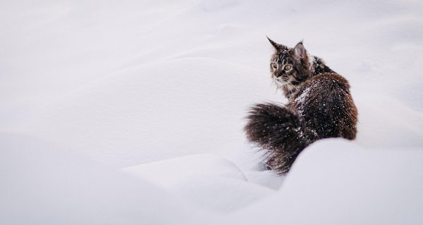 Сильный снег и ветер до 30 м/с ожидаются в Казахстане