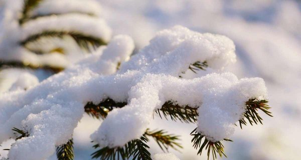 Снег и метель накроют Астану