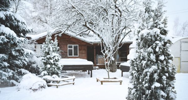 Шымкент вновь засыплет снегом