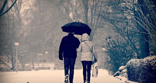 Метель, гололед и туман прогнозируют синоптики в Казахстане 11 февраля