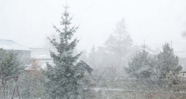 Снег и метель накроют Астану