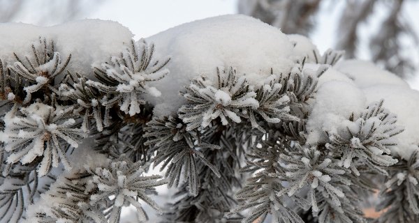 Морозы до -33 градусов прогнозируют в Астане