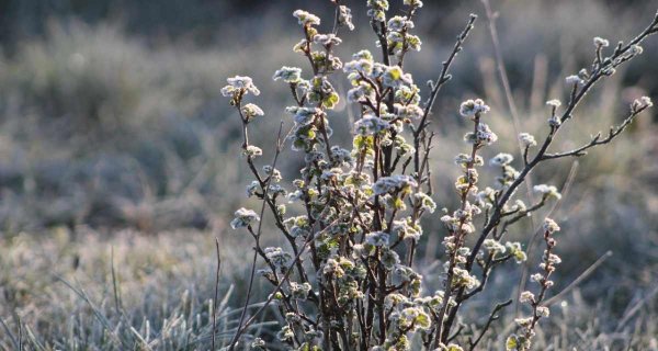 От -10 до +5°С: прогноз погоды в Астане