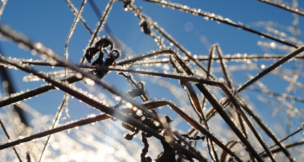 Жителей Астаны предупредили о гололеде