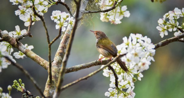 30-градусная жара ждет жителей Шымкента
