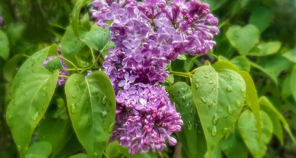 Алматинцев предупредили о резком ухудшении погоды