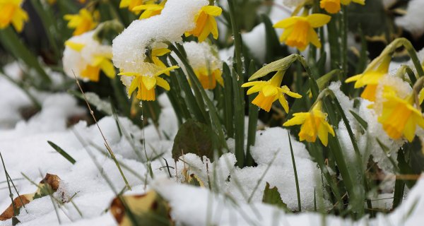 Дождь, снег, ночные заморозки, ветер: погодные качели ждут Казахстан