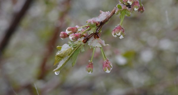 Дождь с переходом в снег, гололед: погода в Астане 16 апреля