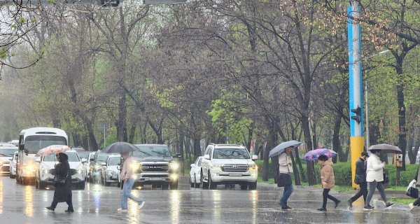 Мощный ливень накроет Алматы