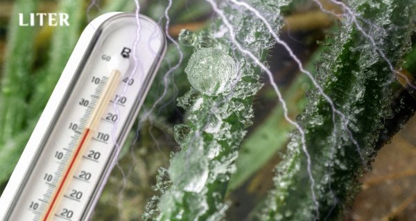 Дожди с грозами и шквалистый ветер прогнозируют в Казахстане