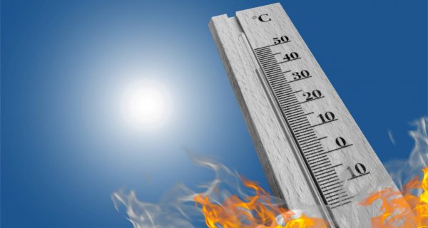 Жара до +42, дожди и грозы ожидаются в Казахстане