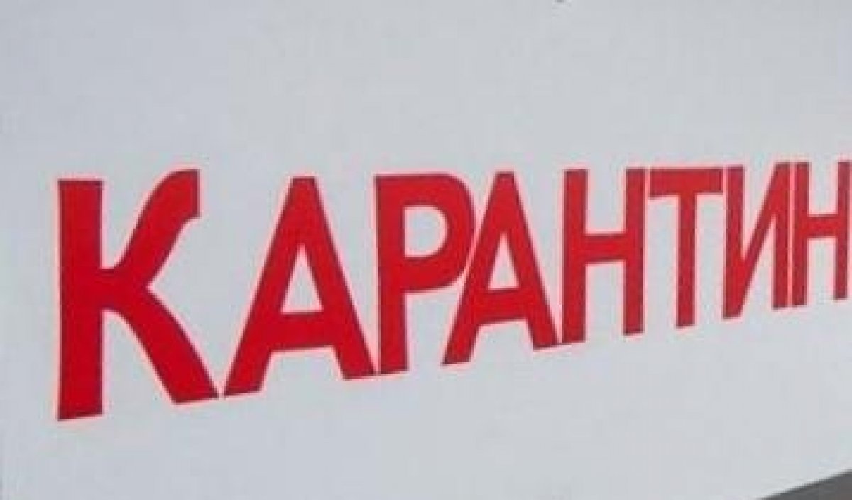 Сибирская язва не доберется до Нур-Султана