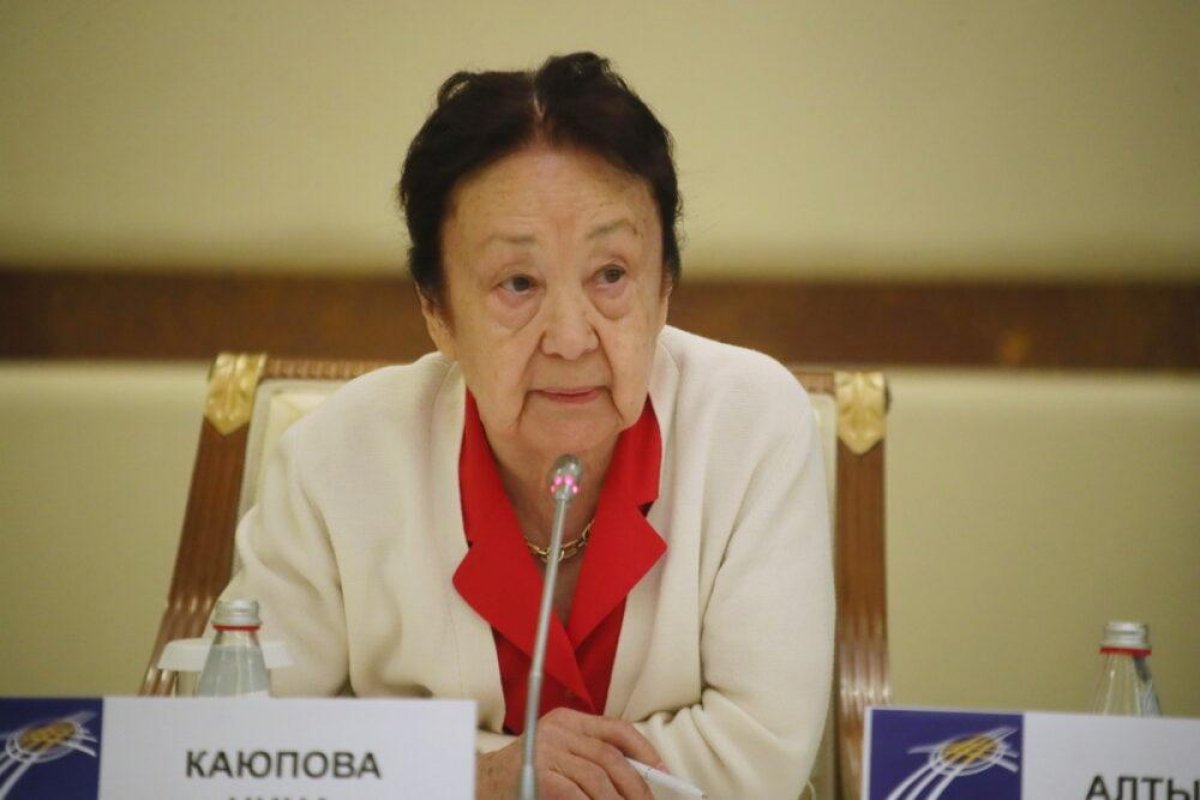 «На заседаниях ОКДС царил дух партнерства» - Нина Каюпова