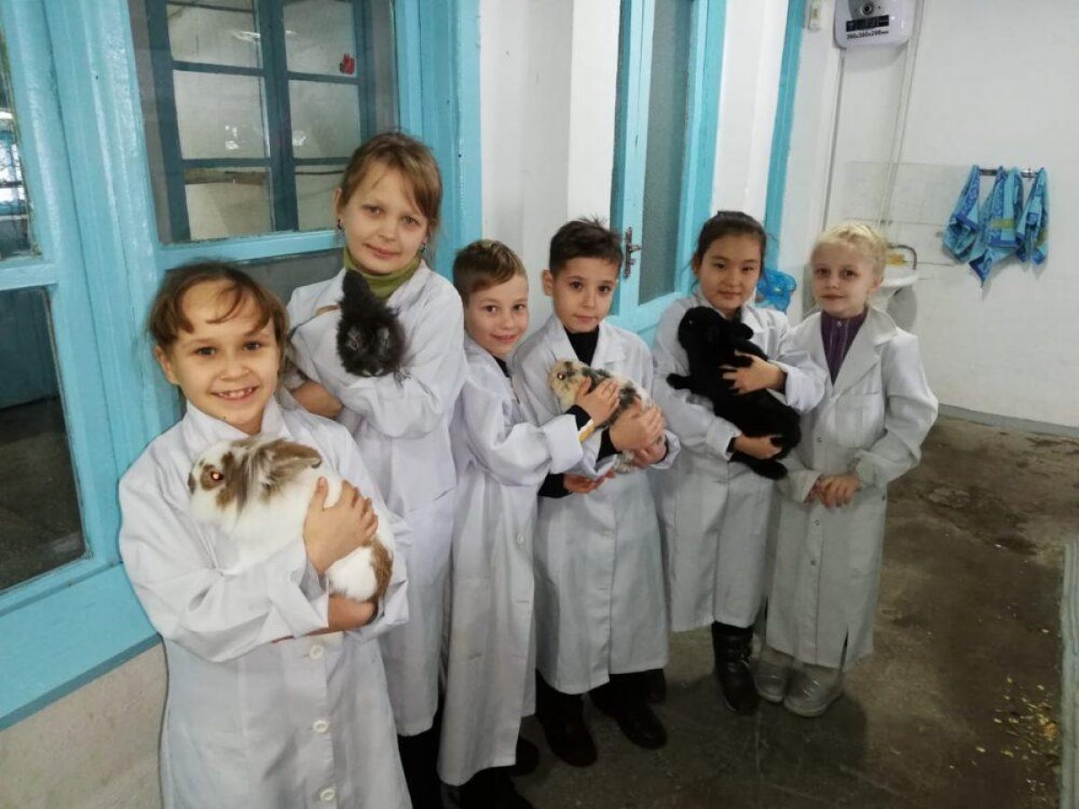 Зеленые технологии познаем с детства