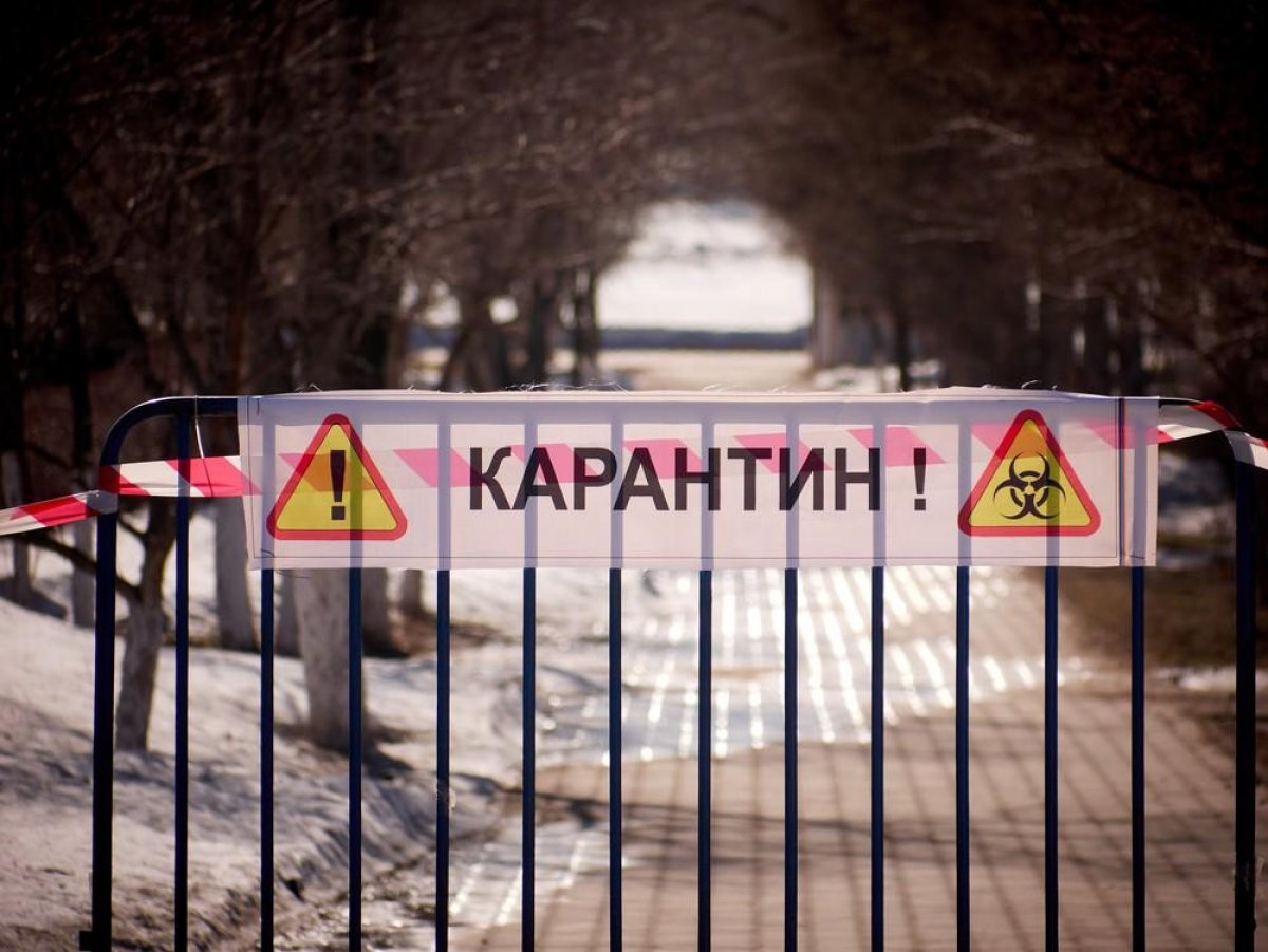 Карантин продлили в Костанайской области