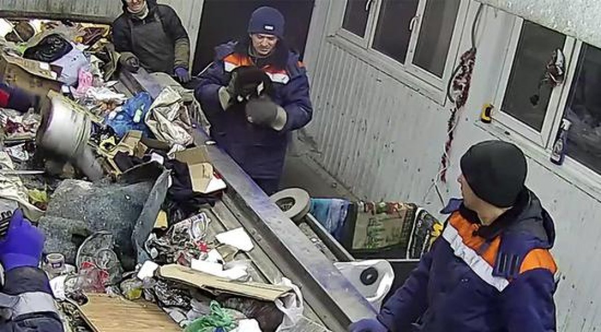Мусорщик спас кота, который чуть не угодил в сепаратор