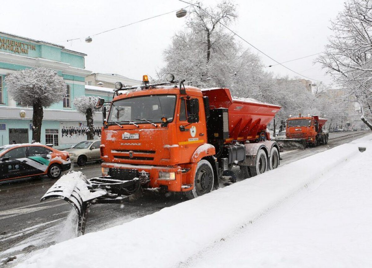 Алматинских водителей попросили не парковать автомобили у обочины