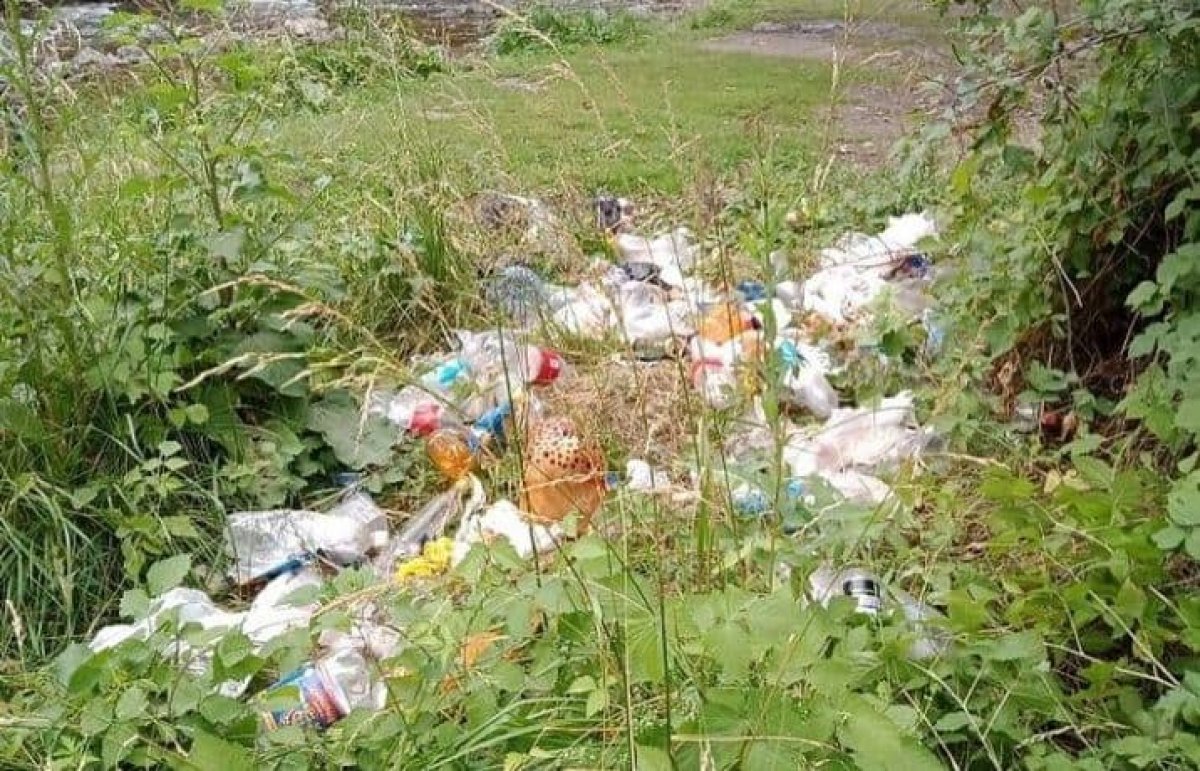 Сельчане в Алматинской области пили воду с трупными червями