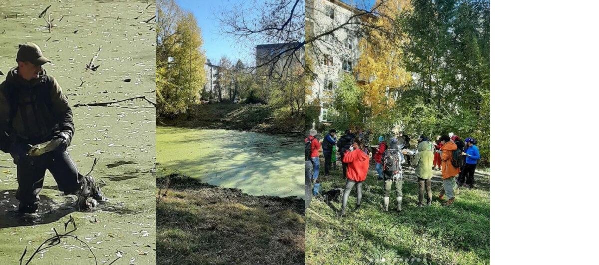 Акимат Усть-Каменогорска присвоил себе заслуги активистов