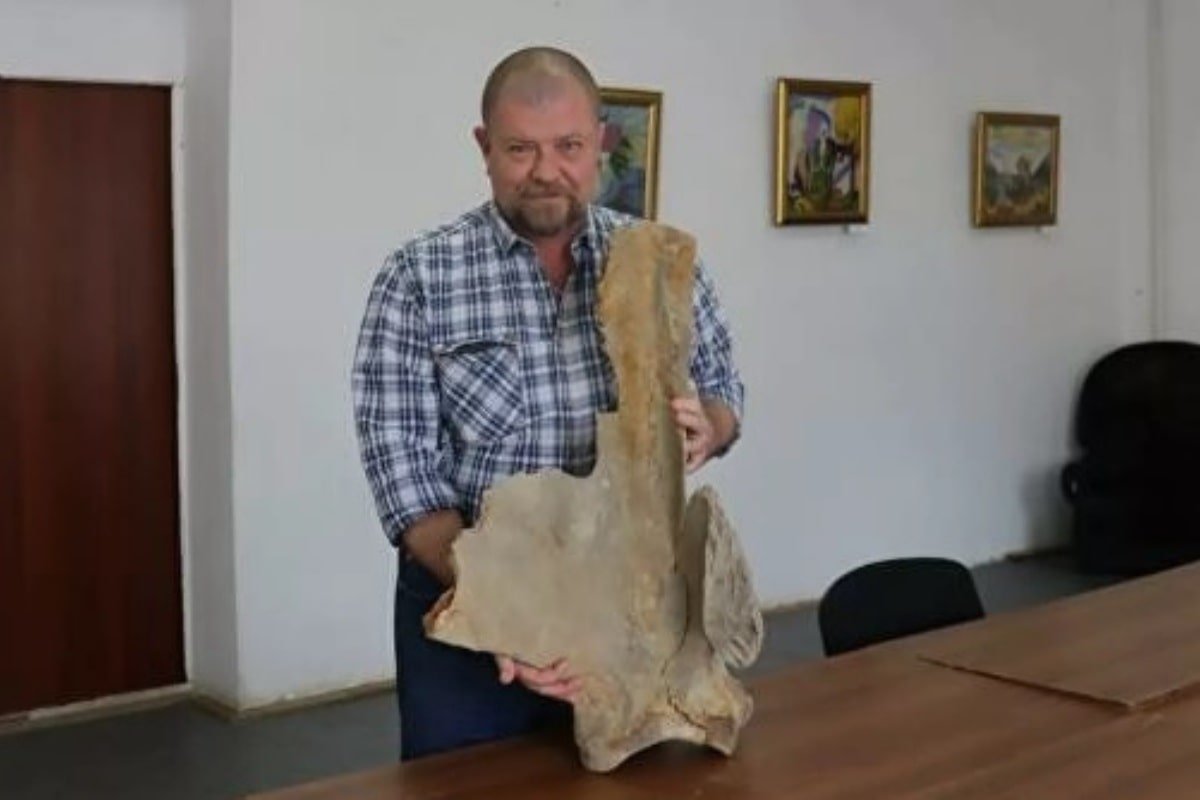 Кость мамонта нашли на дне высохшего озера рядом с Костанаем
