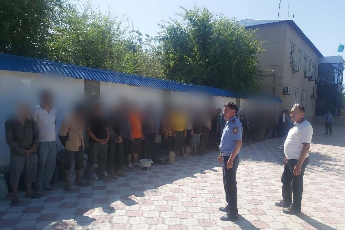 Иностранцы незаконно трудились на плантациях в Туркестанской области