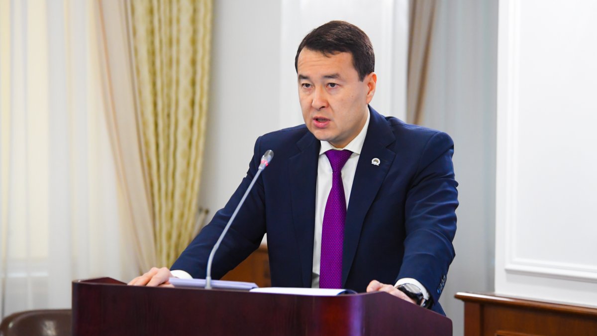Алихан Смаилов раскритиковал акиматы за повышение цен на лук