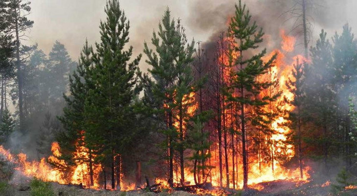Пожары в Костанае: в бездействии и коррупции обвинили МЧС РК