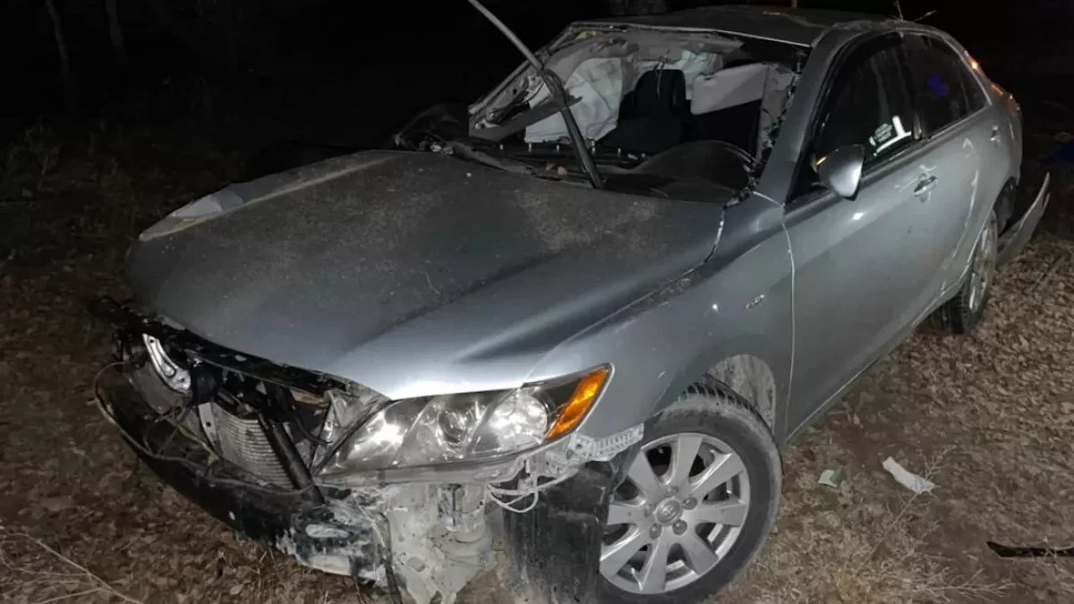 В Таразе погиб подросток: автомобиль врезался в дерево
